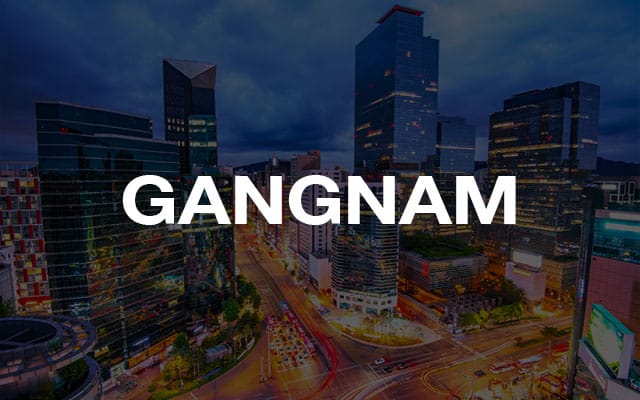 vegan-seoul-gangnam area
